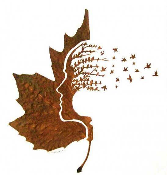  برگ‌های خشک درختان و ایده‌هایی نوین