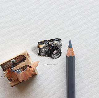 کارت‌پستال‌هایی برای مورچه‌ها!