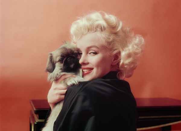 مرلین مونرو